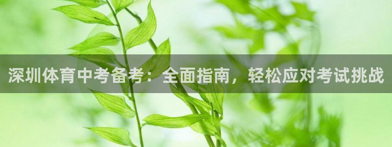 欧陆娱乐登录官网网址：深圳体育中考备考：全面指南，轻