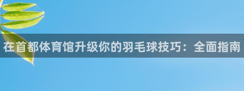 欧陆娱乐注册链接安全吗：在首都体育馆升级你的羽毛球技