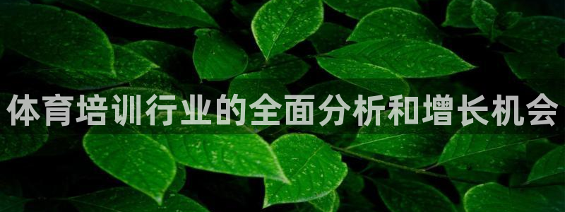 欧陆娱乐注册芯7o777ts=0：体育培训行业的全面分析和增